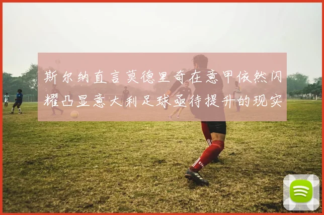 斯尔纳直言莫德里奇在意甲依然闪耀凸显意大利足球亟待提升的现实问题