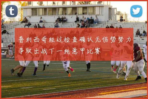 普利西奇经过检查确认无伤势努力争取出战下一轮意甲比赛