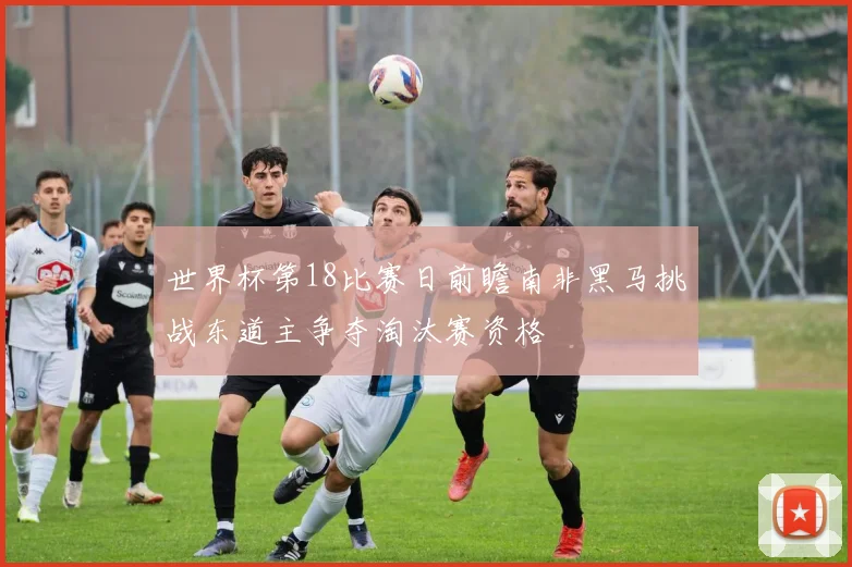 世界杯第18比赛日前瞻南非黑马挑战东道主争夺淘汰赛资格